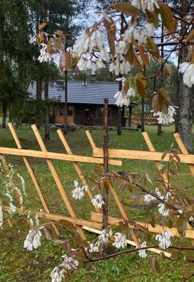 Saaremaa Casa | Kuldvitsa puhkemaja saunaga