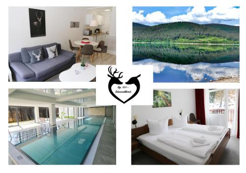 Schluchsee Apartamento | Kurhotel Schluchsee App 1511 - Schwarzwaldhirsch - mit Innenpool und Sauna, Schluchsee