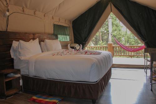 Addis Ababa Complejo | Kuriftu Entoto Adventure Park