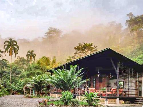 Región amazónica de Ecuador Cabina | Kuyana Amazon Lodge