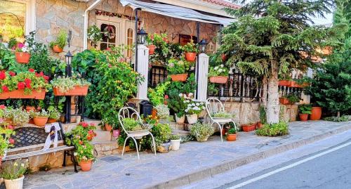 Kyperounta Apartamento | Kyperounta Troodos mountain house