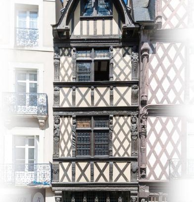 Downtown Angers Casa | L'Oisellerie Meublé de Tourisme