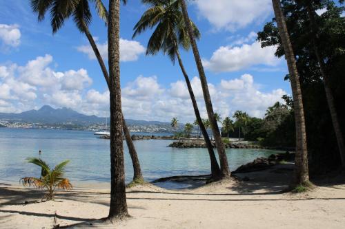 Pointe du Bout Apartamento | L'Orchidée Bleue