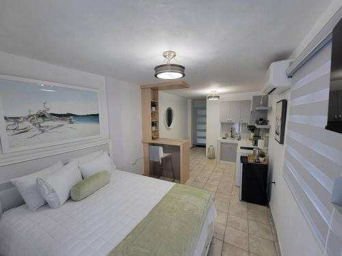 Mayaguez Pueblo Apartamento | L & R Studio