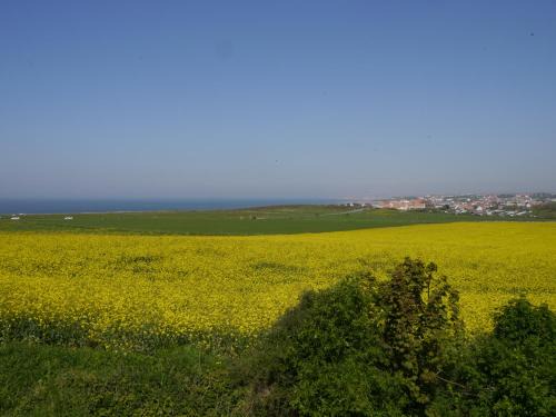 Wimereux Apartamento | La Baie Saint Jean Face Mer