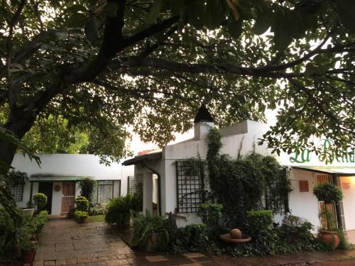 Bela-Bela Cama Y Desayuno | La Bella B&B Under The Fig Tree