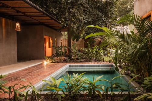 Puerto Viejo de Talamanca Hotel | La Bonita Lodge
