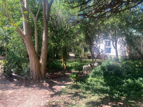 Port Elizabeth Apartamento | La Cabane Garden Cottage