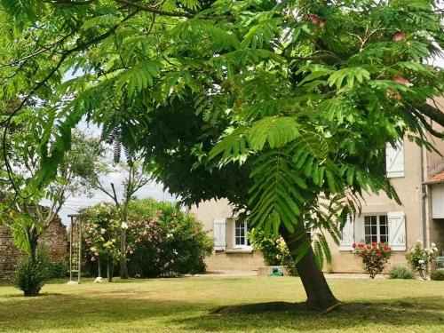 Sauveterre-Saint-Denis Cama Y Desayuno | La Canolière - Chambre d'hôtes Augustin