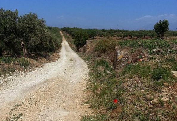 Alcamo Casa | La Casa al Ficus