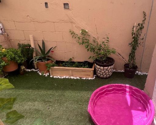 Municipio de Juárez Casa | La casa de Bruno hotel canino