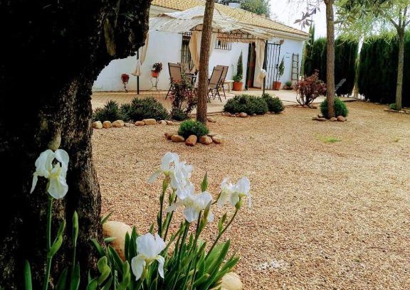 Marmolejo Casa | La Casa del Abuelo Jose