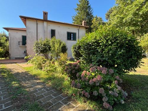 Rocca di Papa Apartamento | La Casa del Bosco