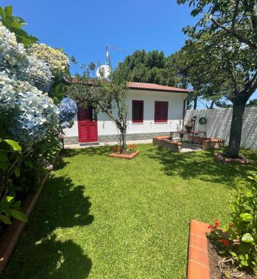 Scilla Casa | La Casa delle Ortensie Guest House