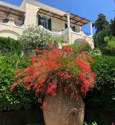 Tiberio Apartamento | La Casa di Paola