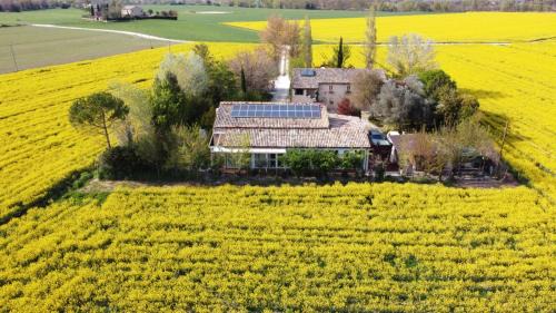Recanati Cama Y Desayuno | La Casa di Tara B&B Armonia e Natura