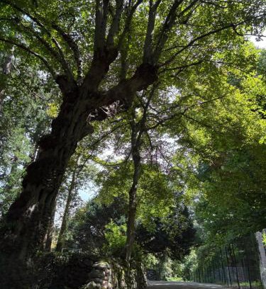 Somma Lombardo Casa | La Casa nel Bosco