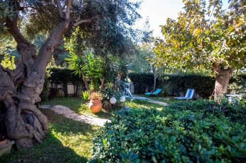 Specchiolla Complejo | La casa nel villaggio