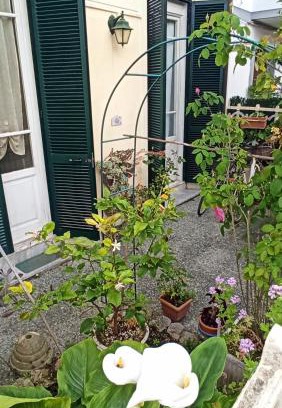 Ex Campo d'Aviazione Apartamento | La casa tra il verde e il mare