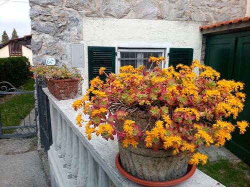 Cremeno Apartamento | La Casetta di Barzio
