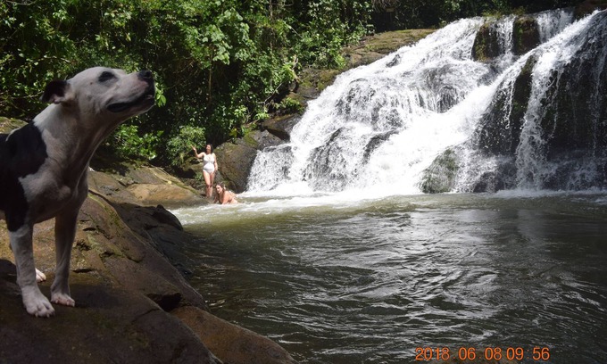 Platanillo Cabina | La Ceiba Ecoadventures