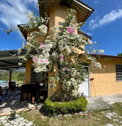 El Palmar Chalet De Esquí | La Cima del Cielo