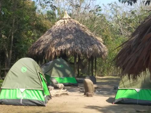 Santa Marta Otro | La Cima Tayrona