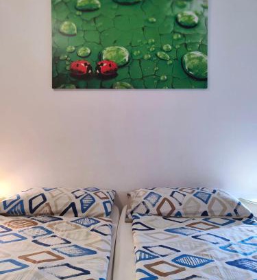 Susa Apartamento | La Coccinella di Susà