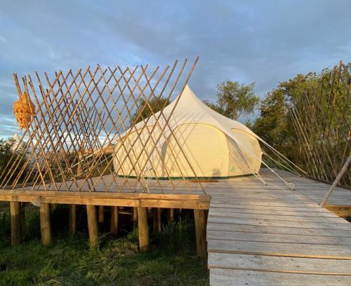 Litueche Otro | La Colmena Glamping
