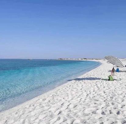 Vada Apartamento | La Conchiglia sul Mare