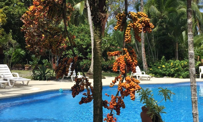 Cahuita Hotel | Hotel La Diosa