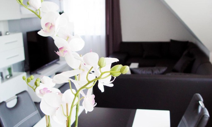 Lotte Apartamento | La Domus Premium Osnabrück Lotte