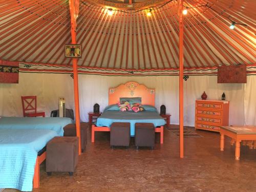 Pondaurat Otro | La Dorépontaise YOURTE MONGOLE