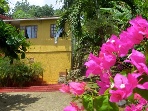 Long Bay Complejo | La Familia Guest House and Natural Farm