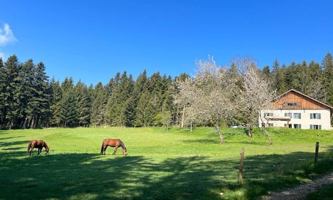Plaimbois-du-Miroir Otro | La Ferme des Brosses