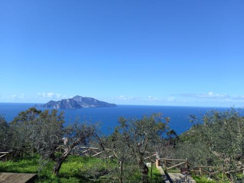 Termini Casa | La finestra su Capri