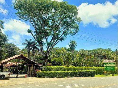 Quepos Complejo | La Foresta Nature Resort