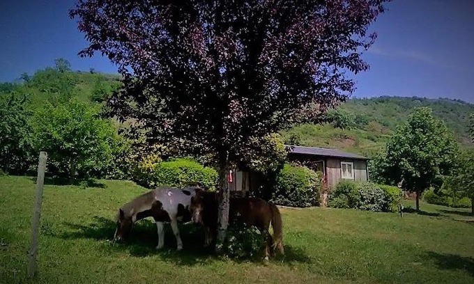 Clairvaux-d'Aveyron Otro | la Frégière Chalets