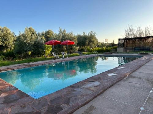 Loudaya Casa | La gazelle