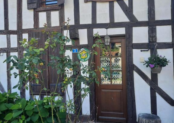 Puellemontier Casa | LA GRUE CENDRÉE - Les gîtes du Der -
