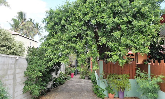 Saint-Louis Apartamento | La Kaz à l'Étang - Su alquiler de vacaciones en la Isla de La Reunión