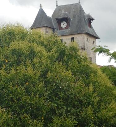 Saint-Jean-d'Angely Apartamento | La Laverie