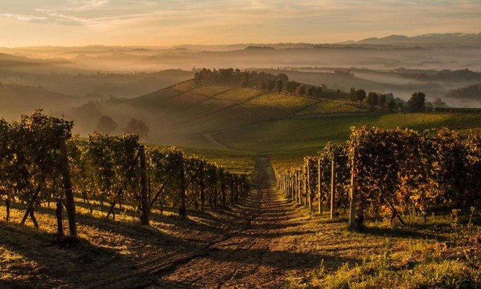 Novello Casa | La Locanda del Nocciolo