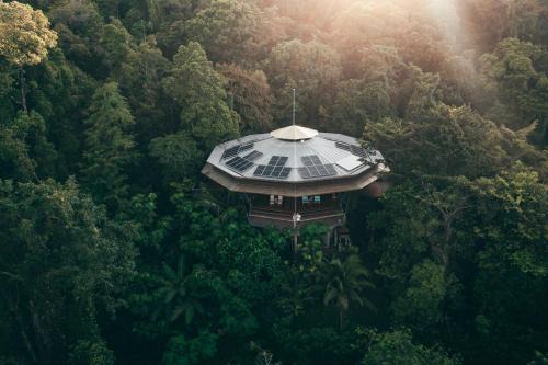 Isla Bastimentos Hotel | La Loma Jungle Lodge and Chocolate Farm