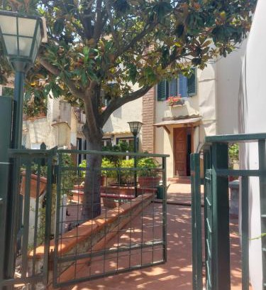Dragonea Apartamento | La Magnolia Locazione breve