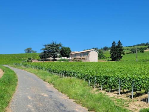 Julienas Casa | La maison de Bruno