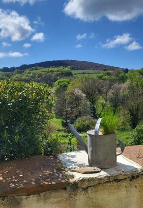 Cassagnoles Casa | La Maison du chataignier