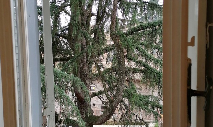 Ronciglione Apartamento | La Maisonette del Borgo