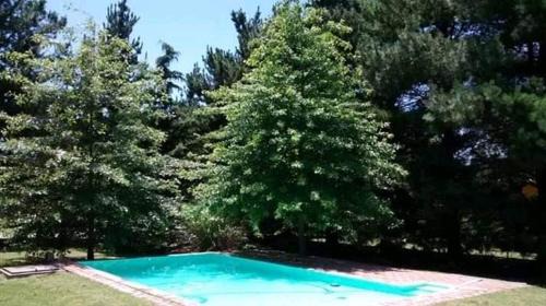 Tandil Casa | LA MAJA