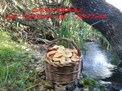 Paterna del Madera Casa | La María de Tortas